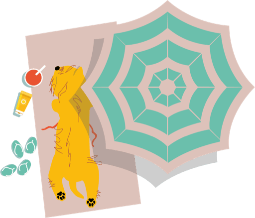 Toto mascot relaxing by the pool